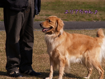 d0080601_12464551.jpg