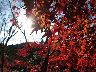d0090101_2217124.jpg