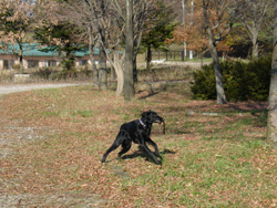 c0040702_9463629.jpg
