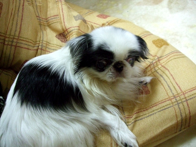 d0079302_334751.jpg