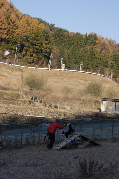 f0034602_196135.jpg