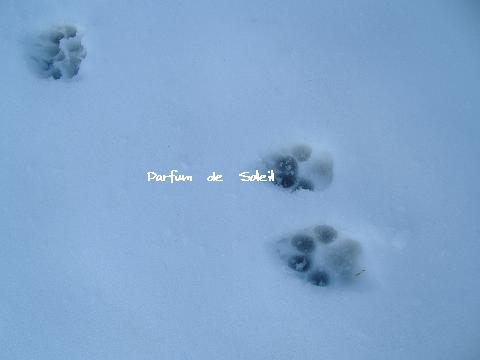 d0087503_21323581.jpg
