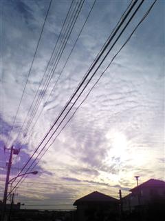 c0130205_21262311.jpg