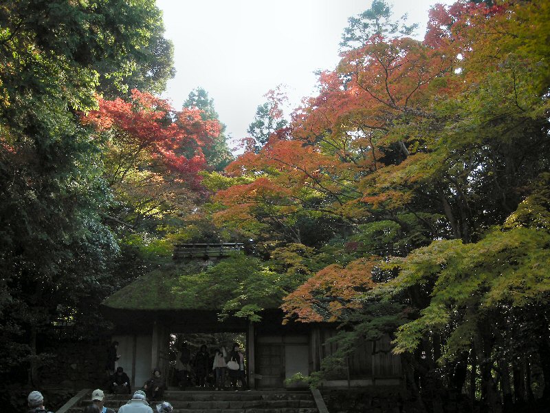 b0057612_20492035.jpg
