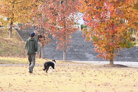 いつもの公園_e0071714_22415100.jpg