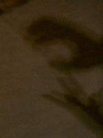 f0133814_0315767.jpg