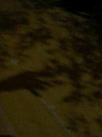 f0133814_0321714.jpg