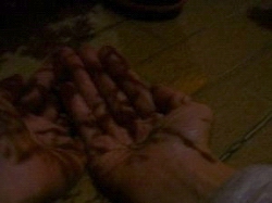 f0133814_3285287.jpg