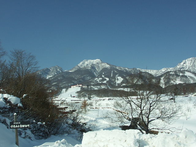 雪国_a0105819_10344573.jpg