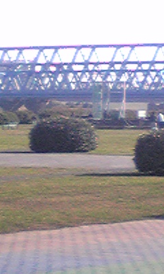 c0038524_3183979.jpg