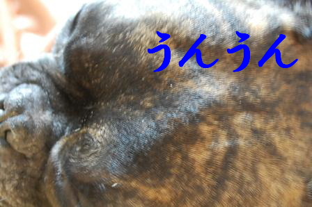 c0130324_0221667.jpg