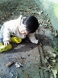 f0085327_21383857.jpg