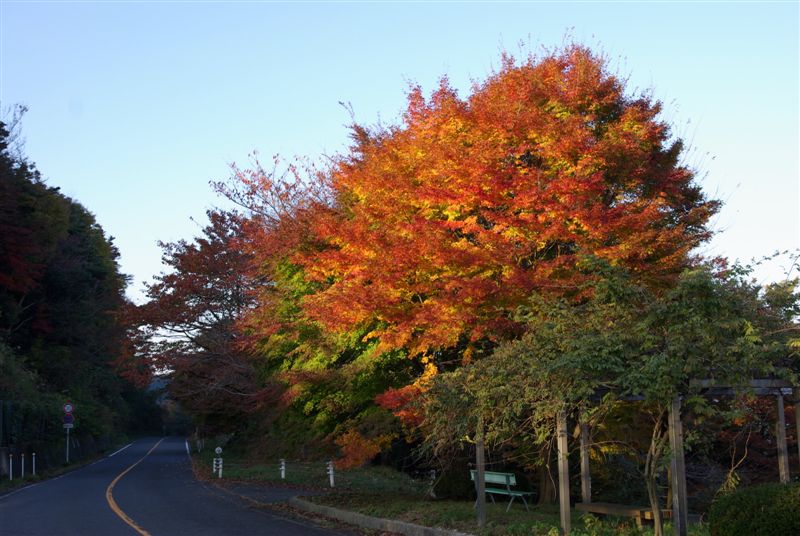 e0121329_00965.jpg