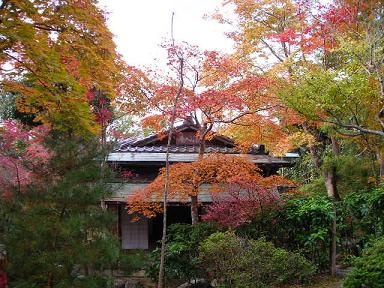 f0063931_11906.jpg