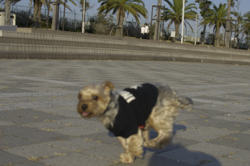 d0017632_15315428.jpg