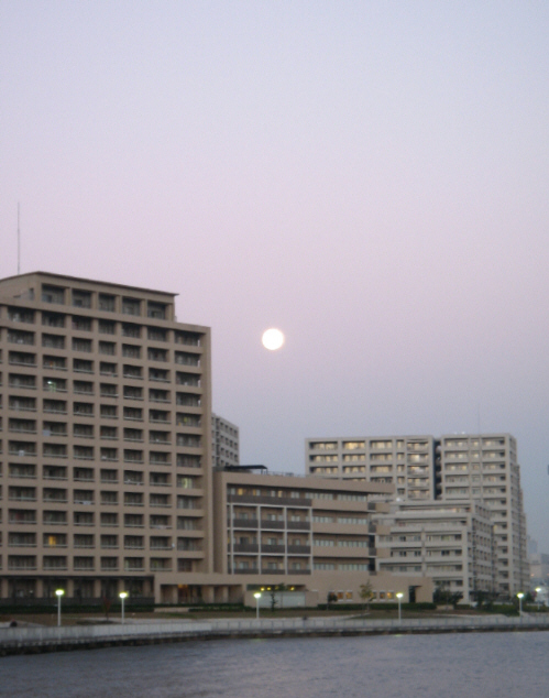 d0017632_1674919.jpg
