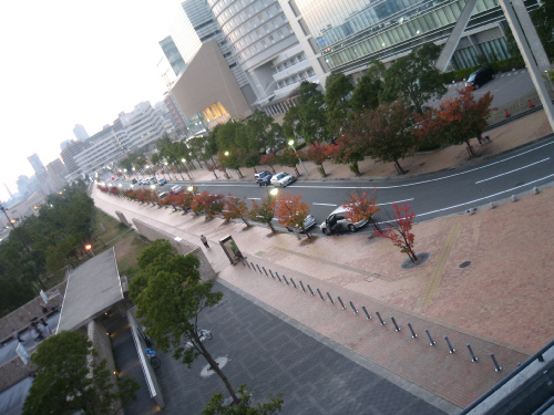 d0017632_1693942.jpg