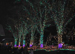 f0038336_9252974.jpg