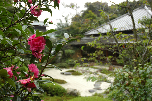 浄妙寺_d0121940_22242136.jpg