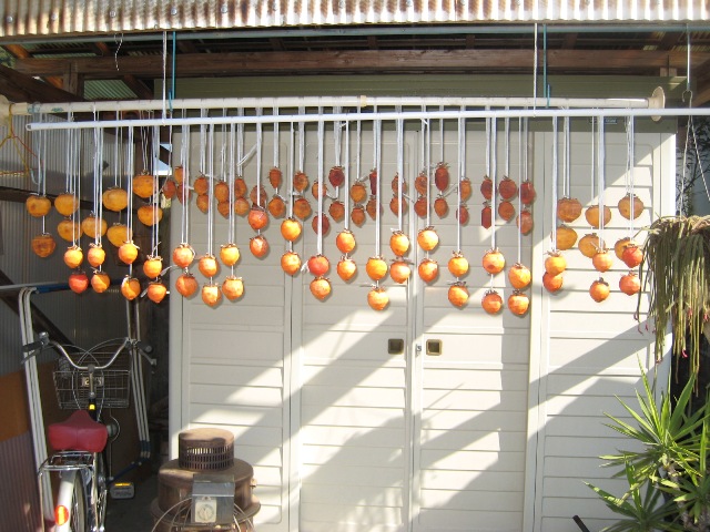 f0131940_20431541.jpg