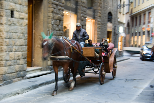 イタリア新婚旅行　in　FIRENZE　Ⅱ_f0140647_17234648.jpg