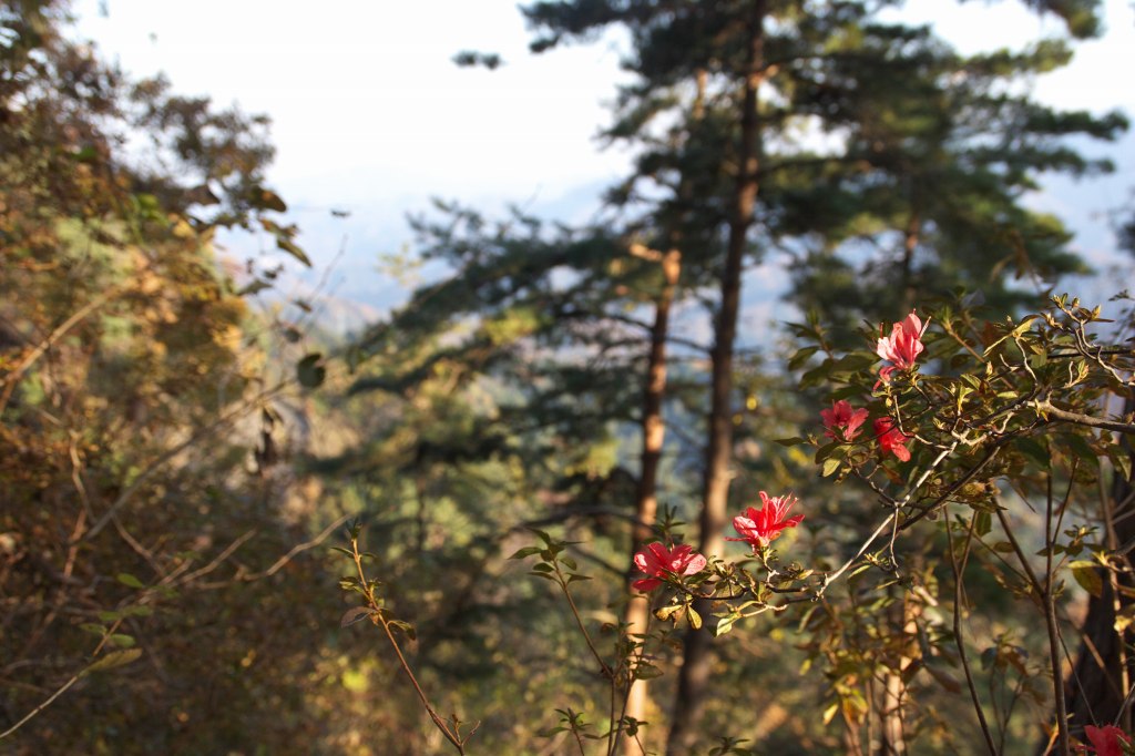 c0008948_22481534.jpg