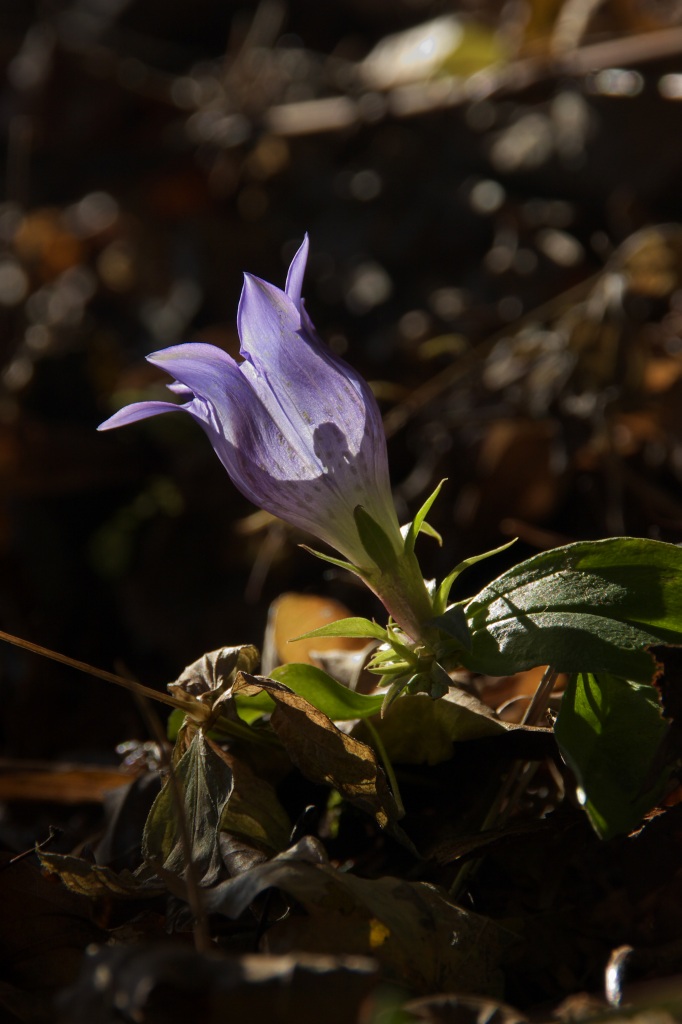 c0008948_2394152.jpg