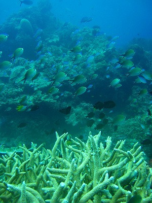 d0116353_2354262.jpg