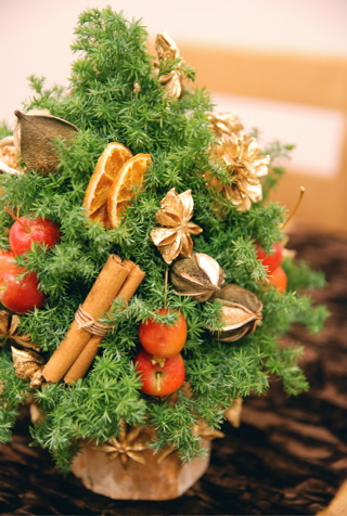 クリスマストピアリー_d0078456_1002571.jpg