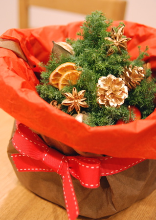 クリスマストピアリー_d0078456_1013299.jpg