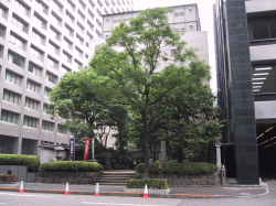 c0119160_23121783.gif