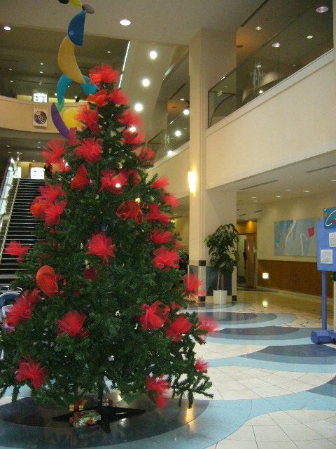 １１月２７日（火）亀田病院のクリスマスツリー_f0060461_16293215.jpg