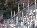 d0033665_62495.jpg
