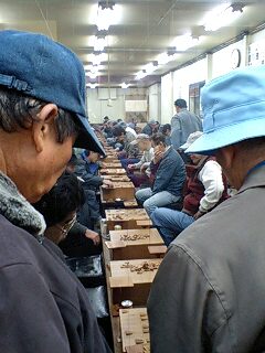 f0050468_1424178.jpg