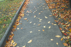 e0100469_2027234.jpg