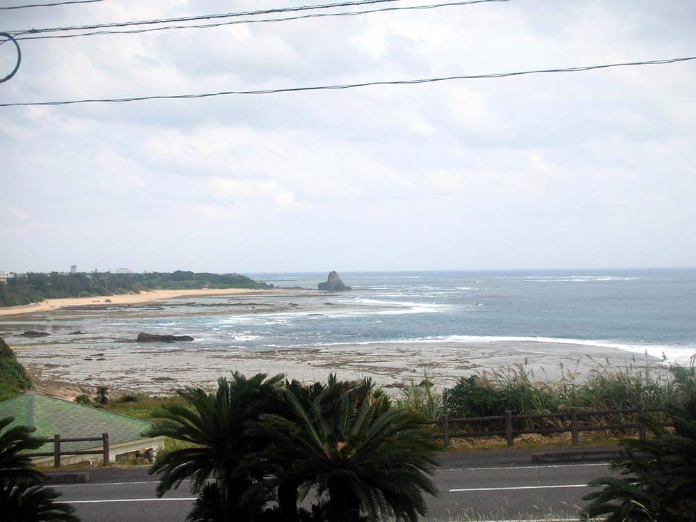 a0084771_1115182.jpg