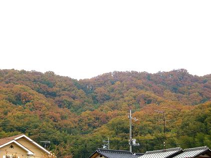 c0153173_2255862.jpg
