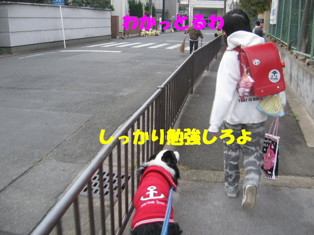e0117976_1504514.jpg