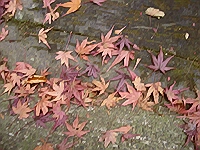 f0060381_23331567.jpg
