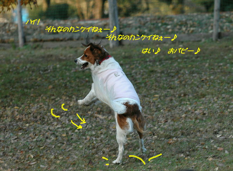 c0075585_1161736.jpg