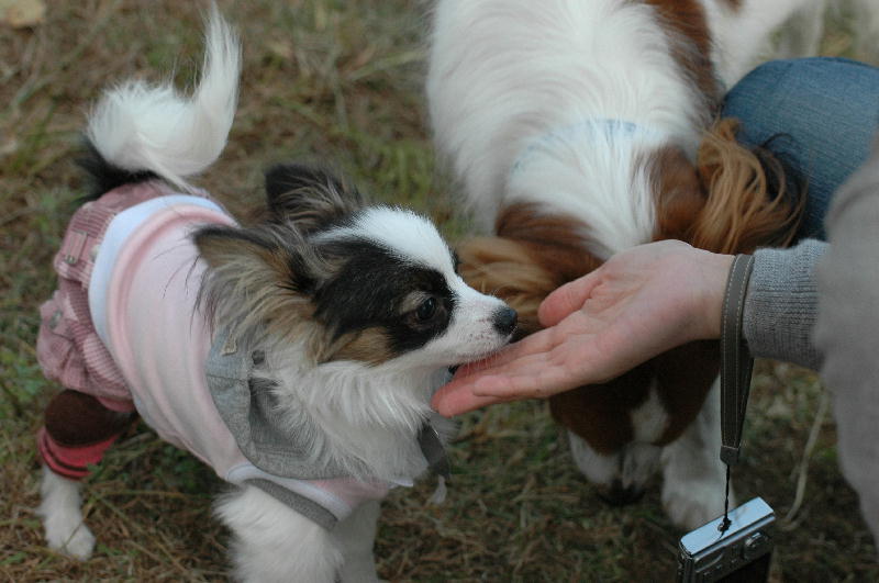 c0075585_1424419.jpg