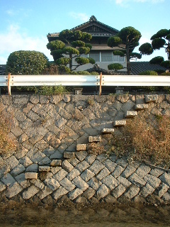 府中大川探訪記　その５_e0060485_23244367.jpg