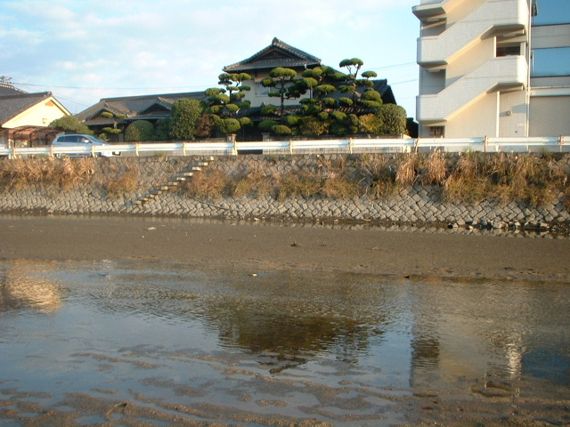 府中大川探訪記　その５_e0060485_2324990.jpg