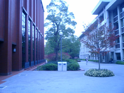 d0033692_2362844.jpg