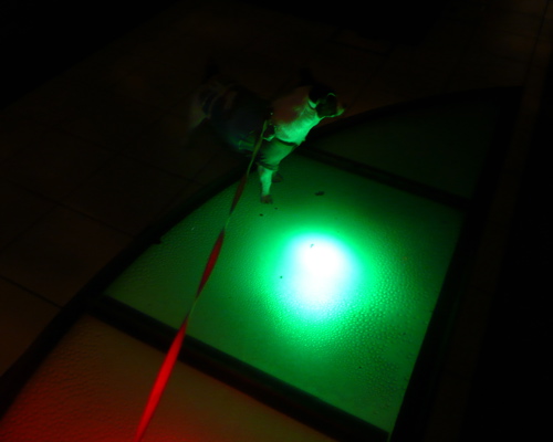 f0146198_2265884.jpg