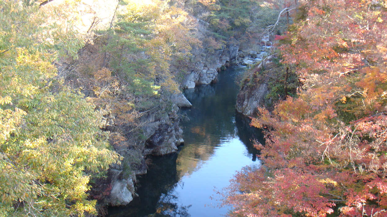 f0138304_7591567.jpg