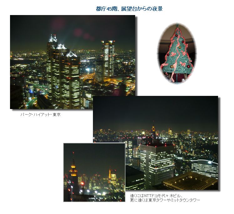 新宿夜景、シェプアート石鹸_c0051105_015275.jpg