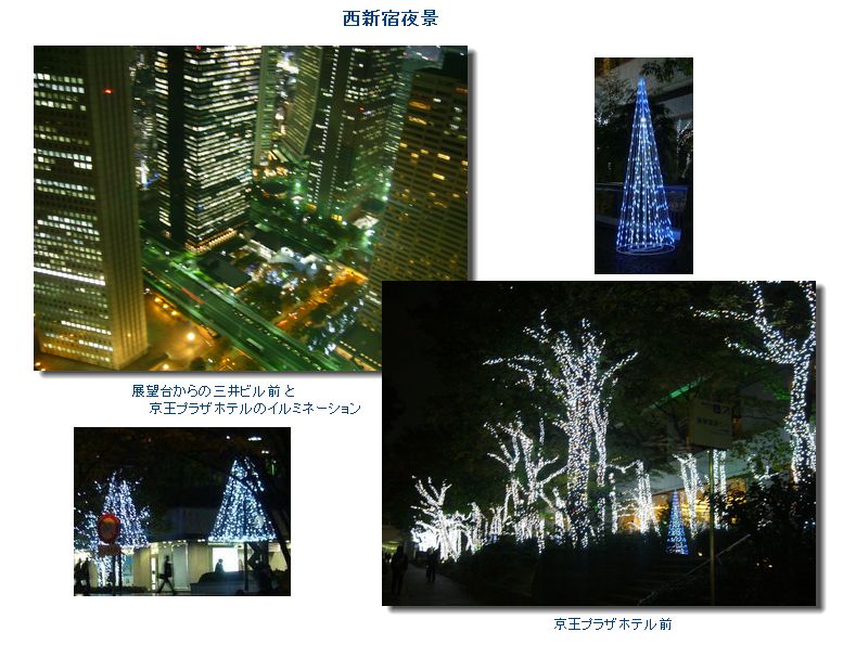 新宿夜景、シェプアート石鹸_c0051105_092051.jpg