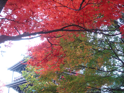 紅葉in京都_c0073813_22501196.jpg