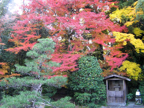 西方寺_e0048413_227859.jpg